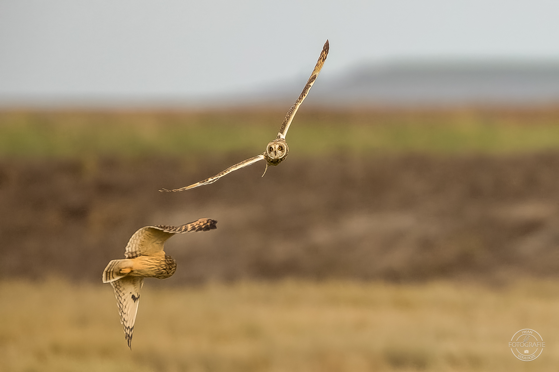 15 oktober 2022 172754 1R2A1475 bewerkt